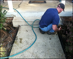 Dead animal removal Middletown OH